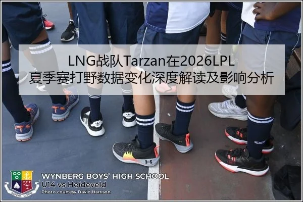 LNG战队Tarzan在2026LPL夏季赛打野数据变化深度解读及影响分析