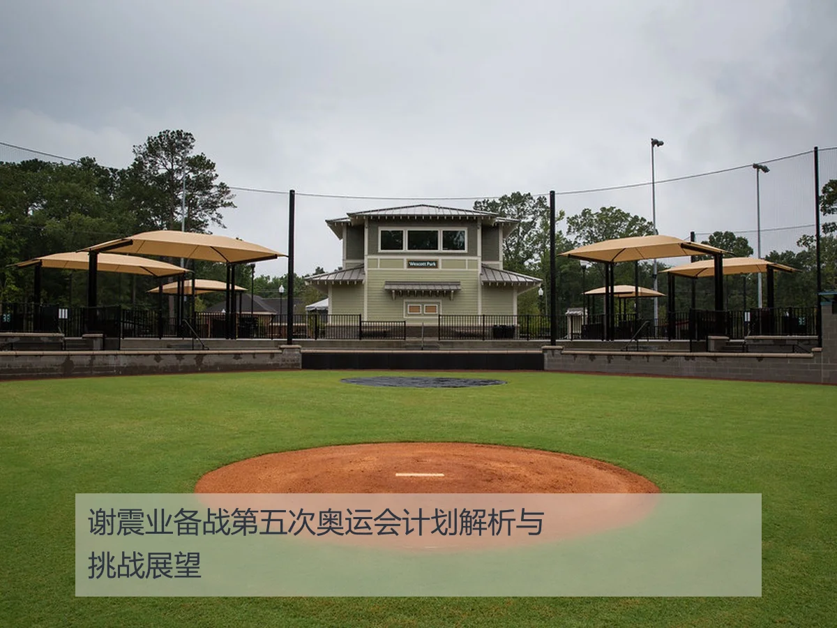 谢震业备战第五次奥运会计划解析与挑战展望